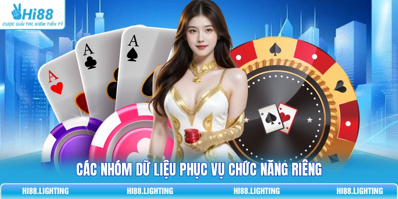 Các nhóm dữ liệu phục vụ chức năng riêng