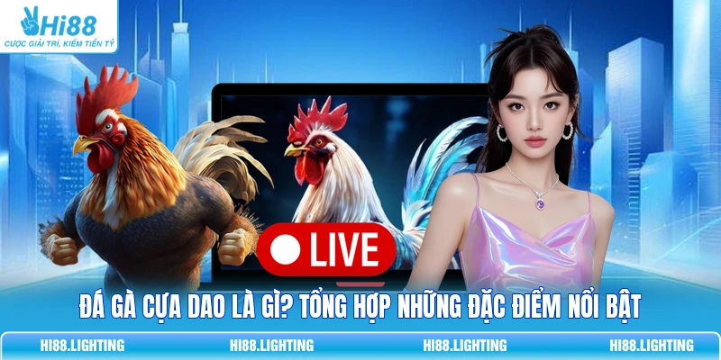 Đá Gà Cựa Dao - Đặc Điểm Của Loại Hình Giải Trí Hấp Dẫn