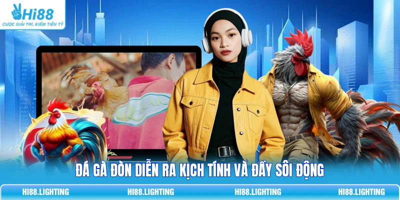 Đá gà đòn diễn ra kịch tính và đầy sôi động