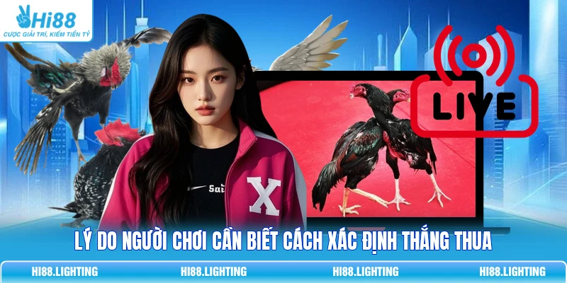 Lý do người chơi cần biết cách xác định thắng thua 