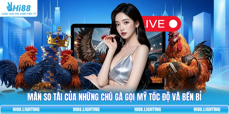 Màn so tài của những chú gà gọi Mỹ tốc độ và bền bỉ