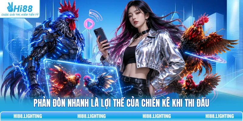 Phản đòn nhanh là lợi thế của chiến kê khi thi đấu